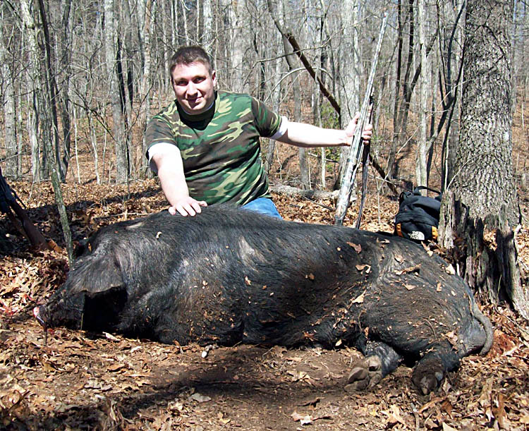 Tennessee Boar