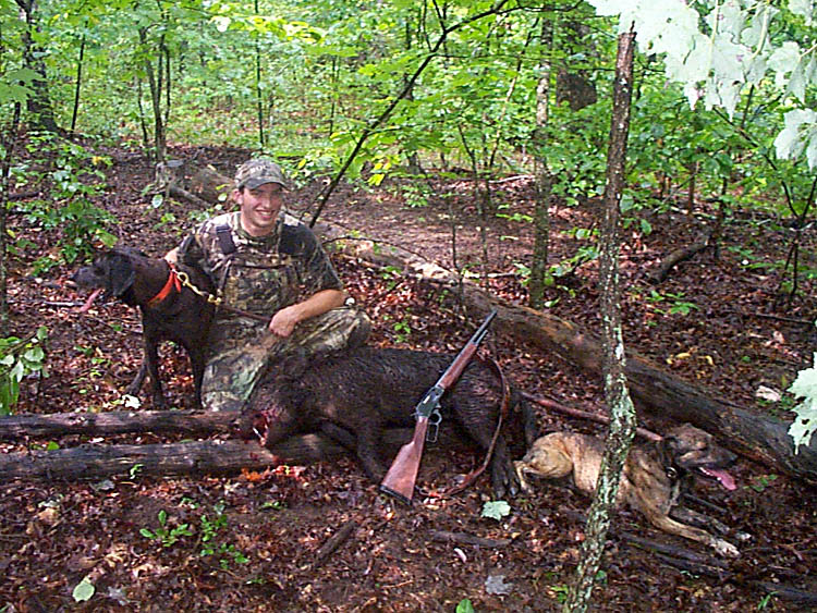 Tennessee Boar with Dogs