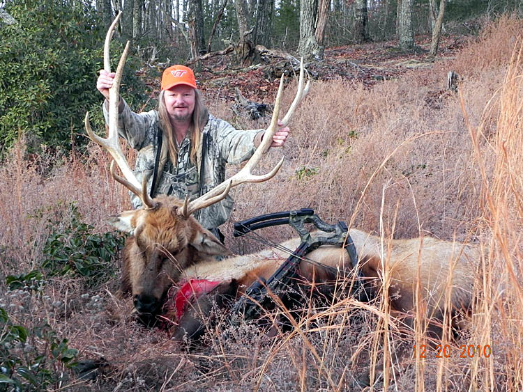 Tennessee Elk Hunting