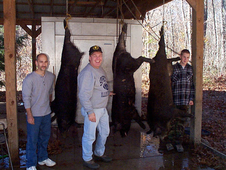 Tennessee Boar Hunt With Youth
